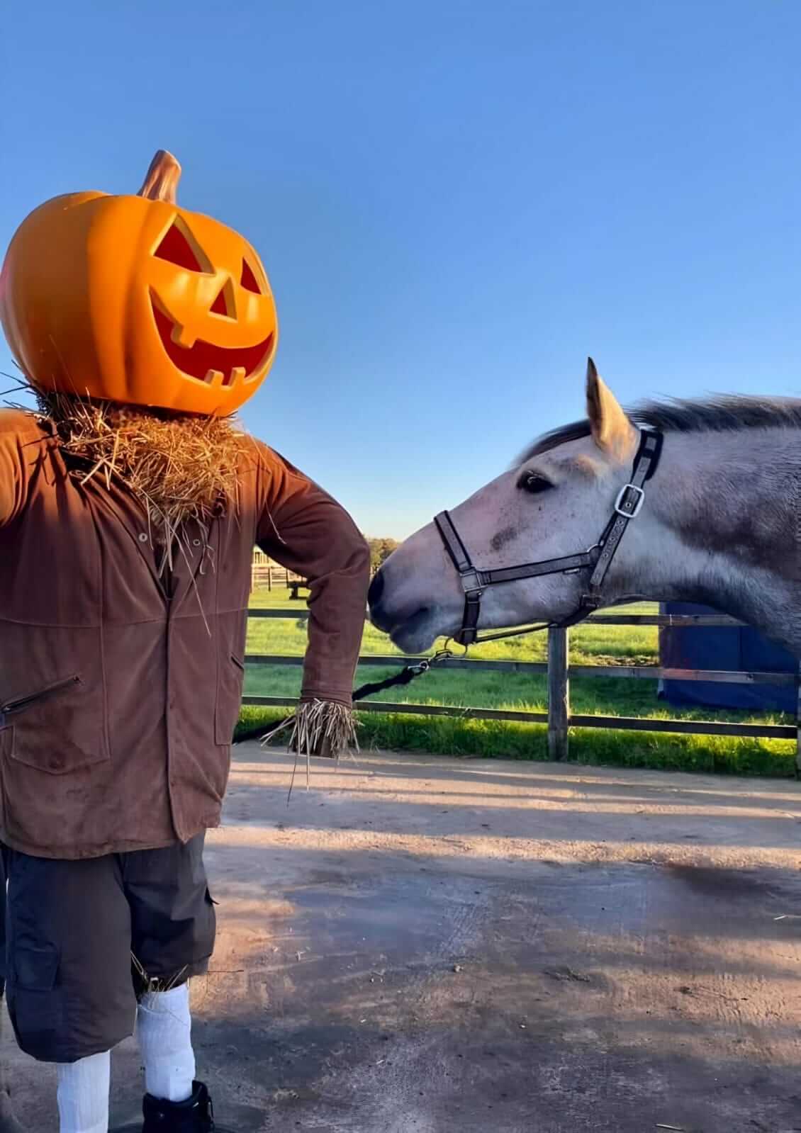 Scenic pumpkin patch in Leyland Lancashire