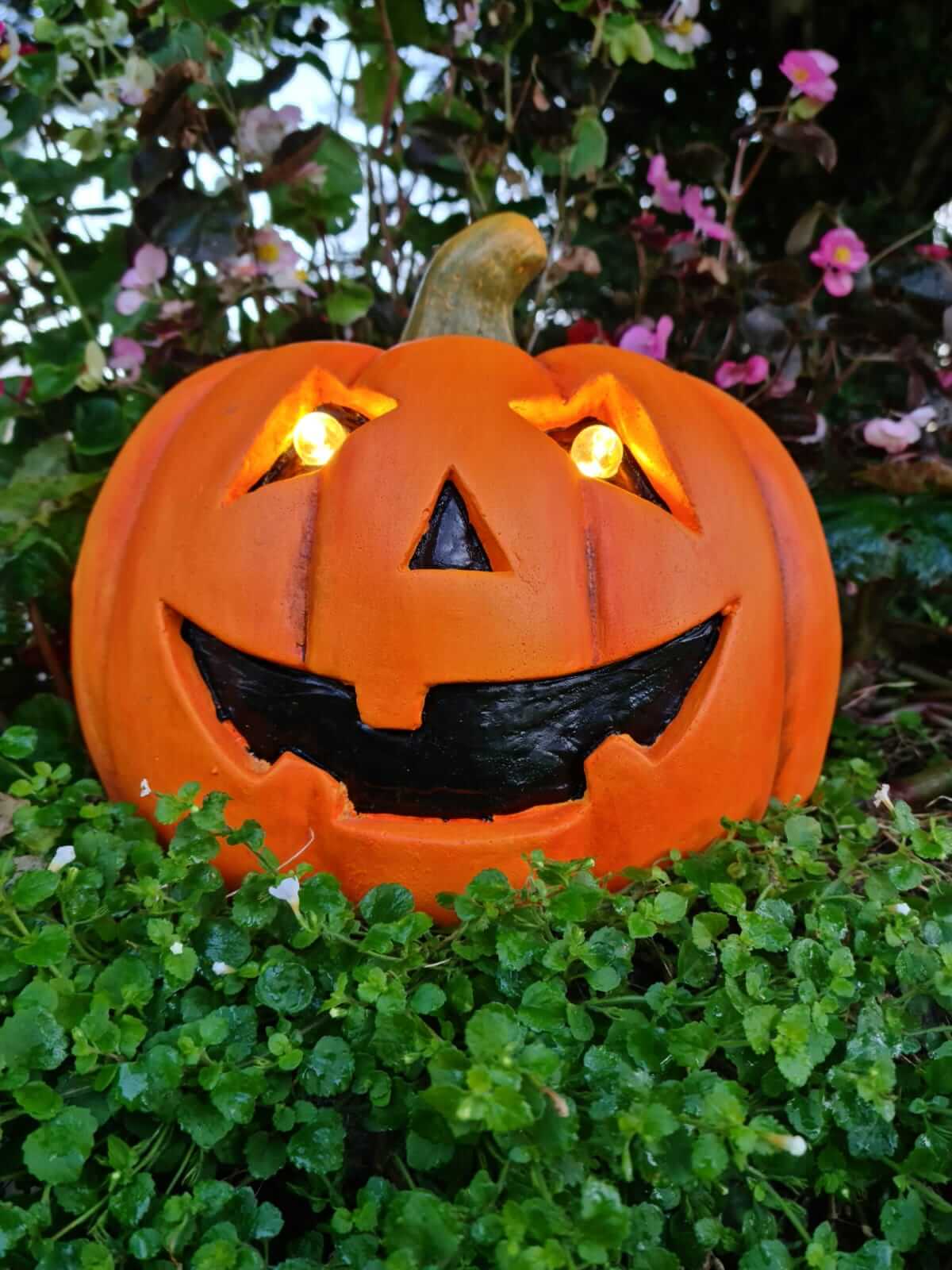 Happy visitors with their pumpkins