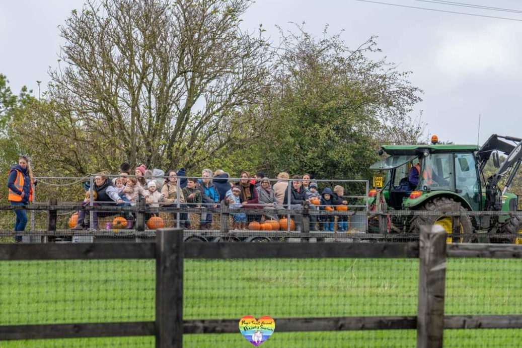 Visitors enjoying autumn activities at the farm