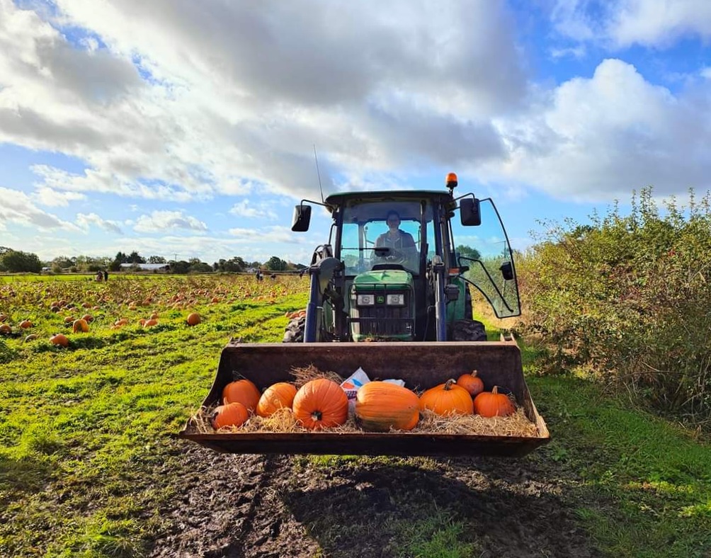 Free tractor and trailer ride at Paul's Farm